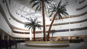 palm trees in lobby of hotel