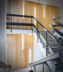 stairwell with feature wall