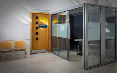 Glazed Meeting Pods provide additional practical spaces within Court atriums