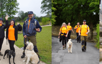 Big Hospital Walk for Calderdale Royal